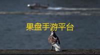 果盘手游平台